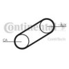 OPEL 090128169 Timing Belt